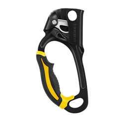 Picture of PETZL ASCENSION